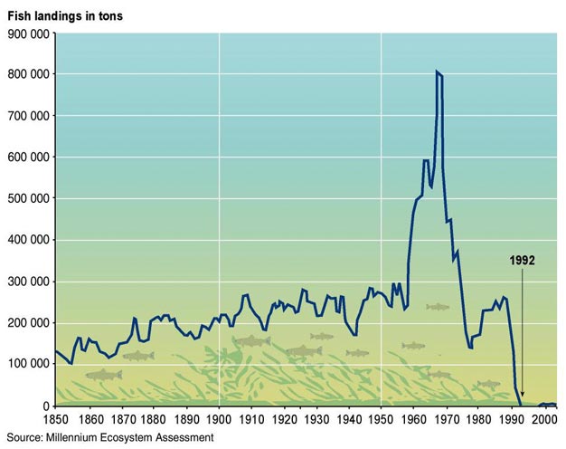 overfishing charts